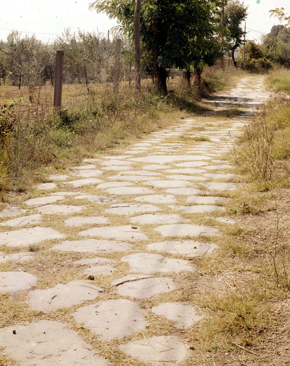 Via Flaminia, Rooma. tekijältä Roman Roman