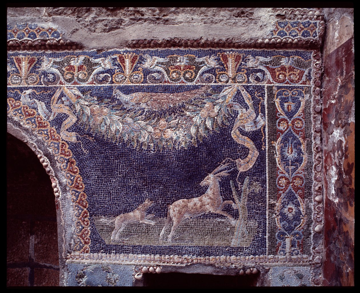 Seinämosaiikit Nettuno e Amphitriten talon nymphaeumista, Herculaneumin paikka, 5. vuosisadalla eKr. - 1. vuosisadalla jKr. tekijältä Roman Roman