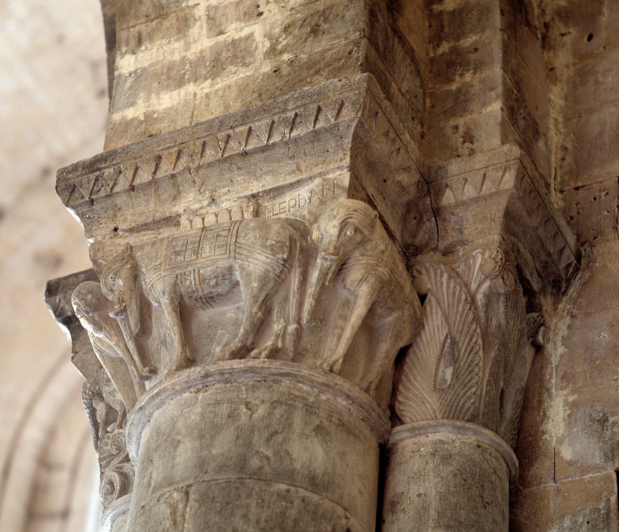 Elefantit (laivan veistetty pääkaupunki tekijältä Romanesque