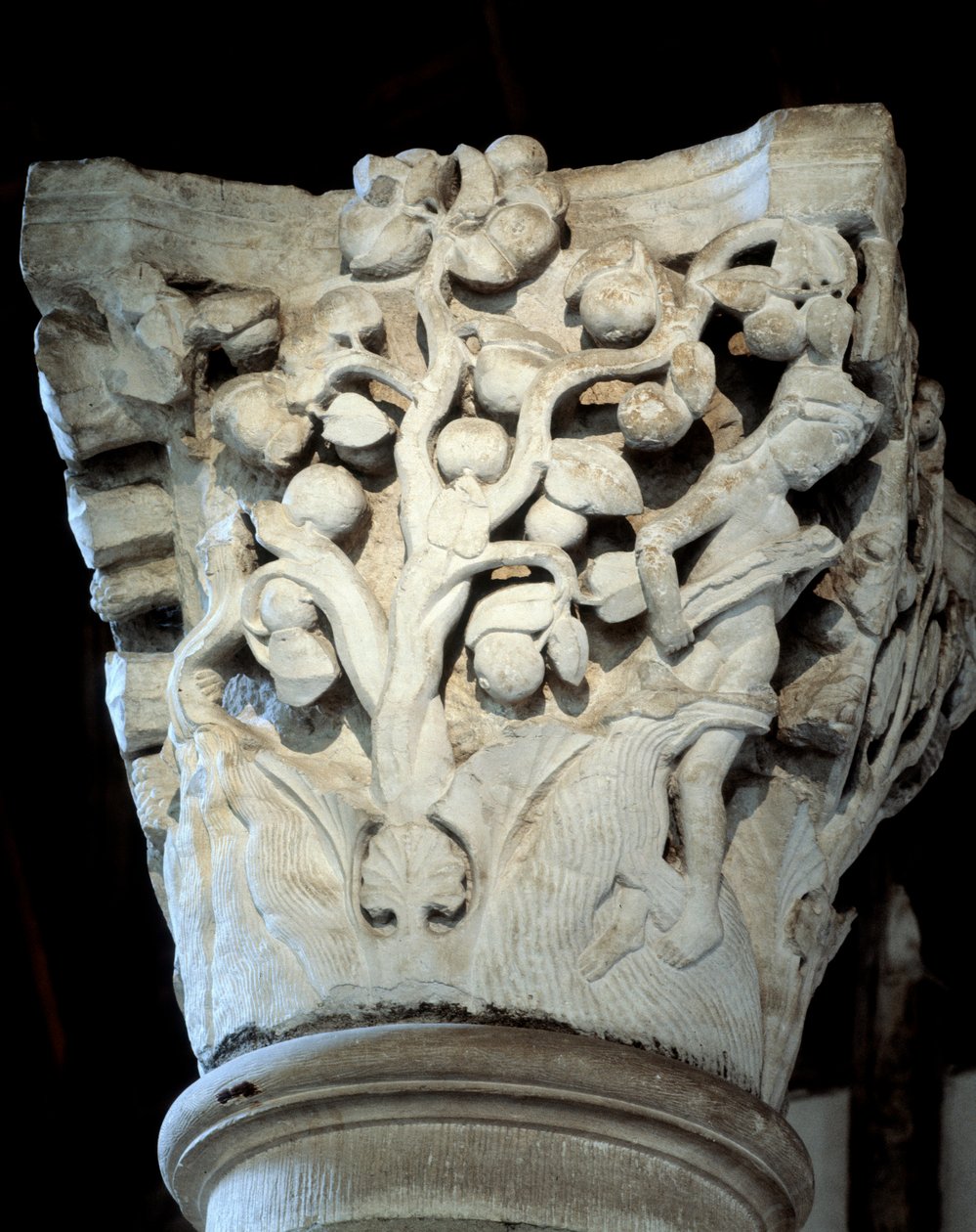 Paratiisi: viikunapuu ja omenapuu, kuoron pääkaupunki (veistos tekijältä Romanesque