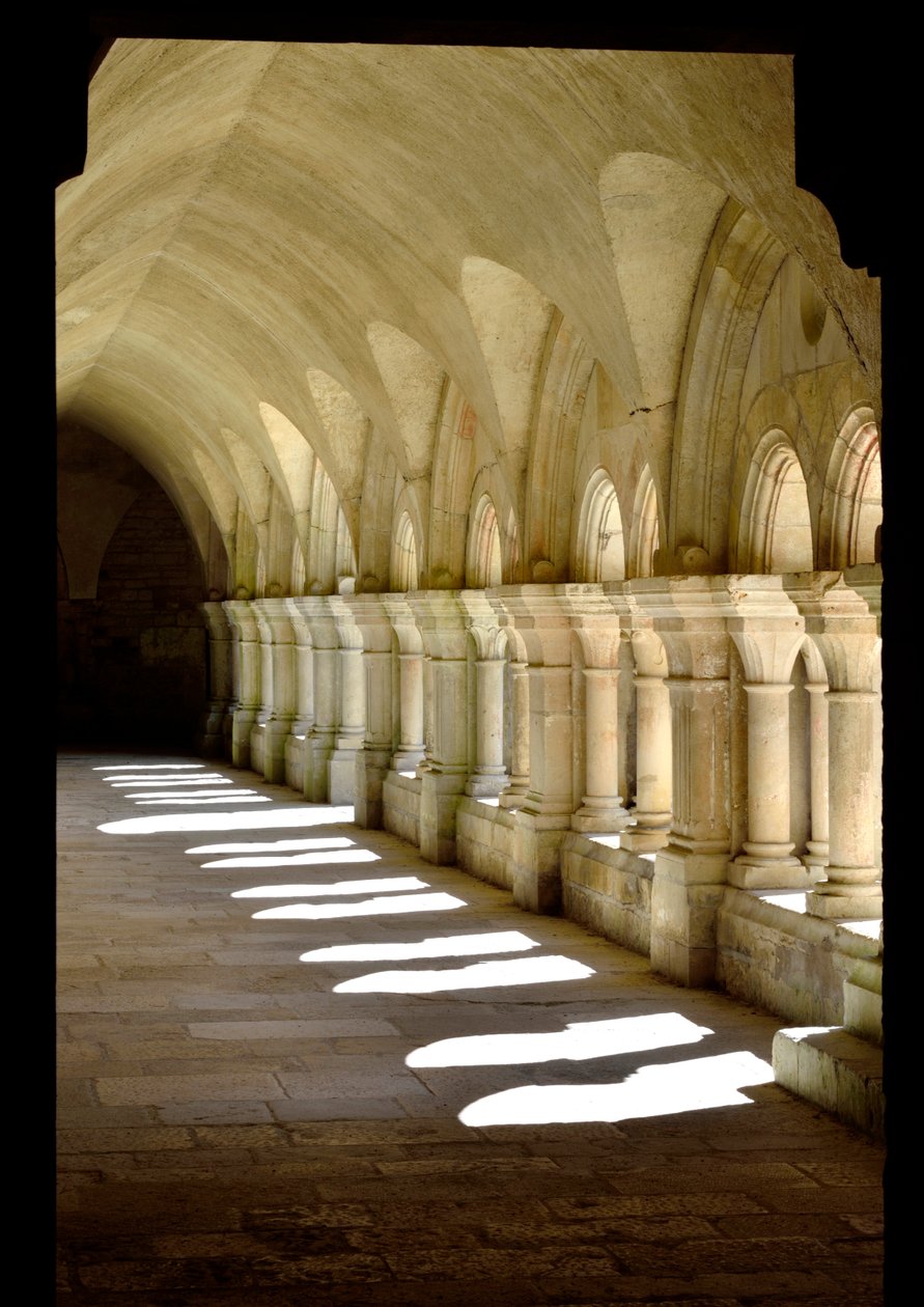 Romaaninen arkkitehtuuri: galleria Fontenayn siltercian luostarista, Burgundia tekijältä Romanesque