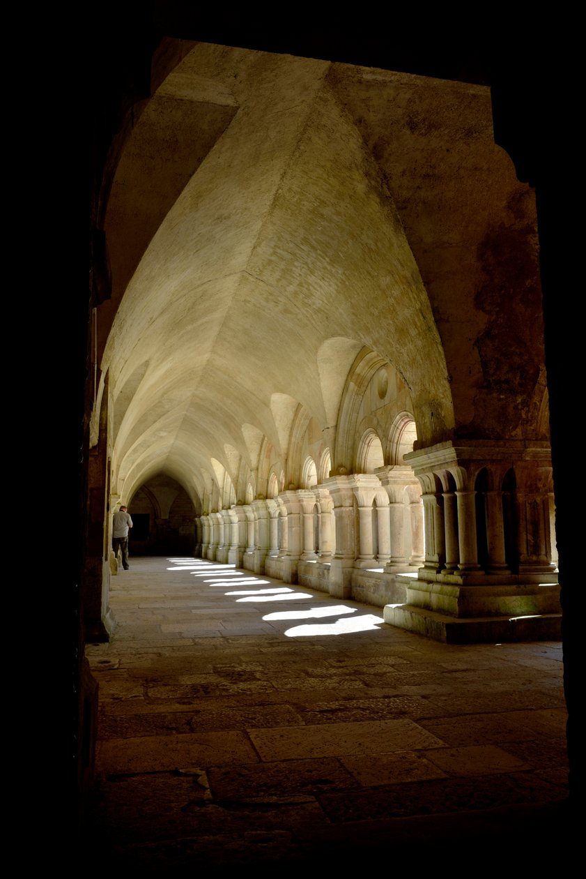 Romaaninen arkkitehtuuri: galleria Fontenayn sitersialaisesta luostarista, Burgundia tekijältä Romanesque