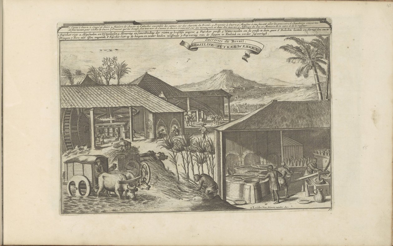 Brazilianse suikerwerkers Brasilise Suykerwerken / Sweets from Brasil (otsikko esineessä) Itä- ja Länsi-Intia ja muut paikat (sarjan nimi) tekijältä Romeyn de Hooghe