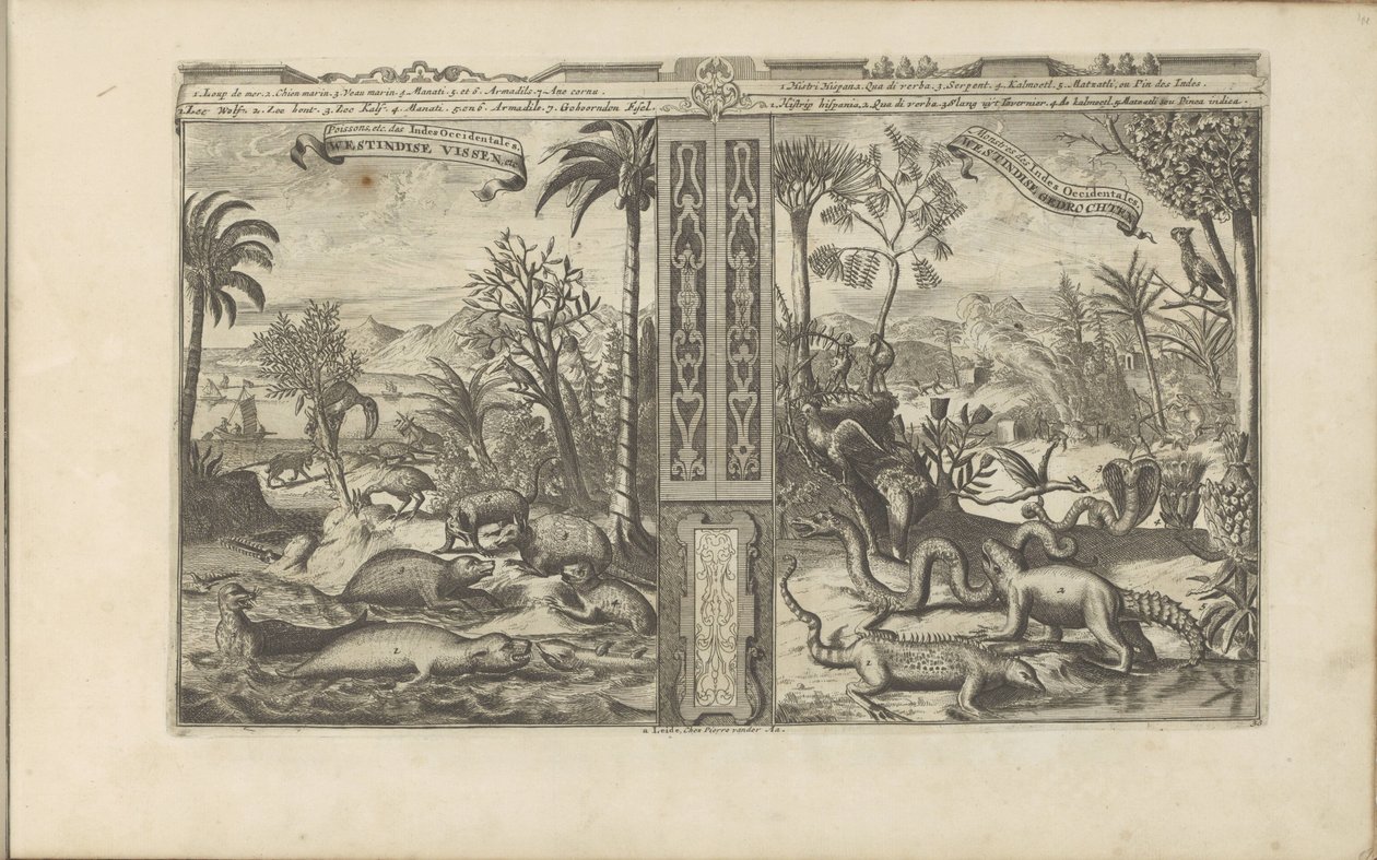 Dieren uit Länsi-Intia Westindische Vissen, etc / Kalat jne. Länsi-Intiassa // Westindische Gedrochten / Monsters of the West Indies (otsikko esineessä) Itä- ja Länsi-Intia ja muut paikat (sarjan nimi) tekijältä Romeyn de Hooghe