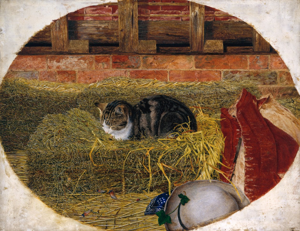 Catnap, 1858 tekijältä Rosa Brett