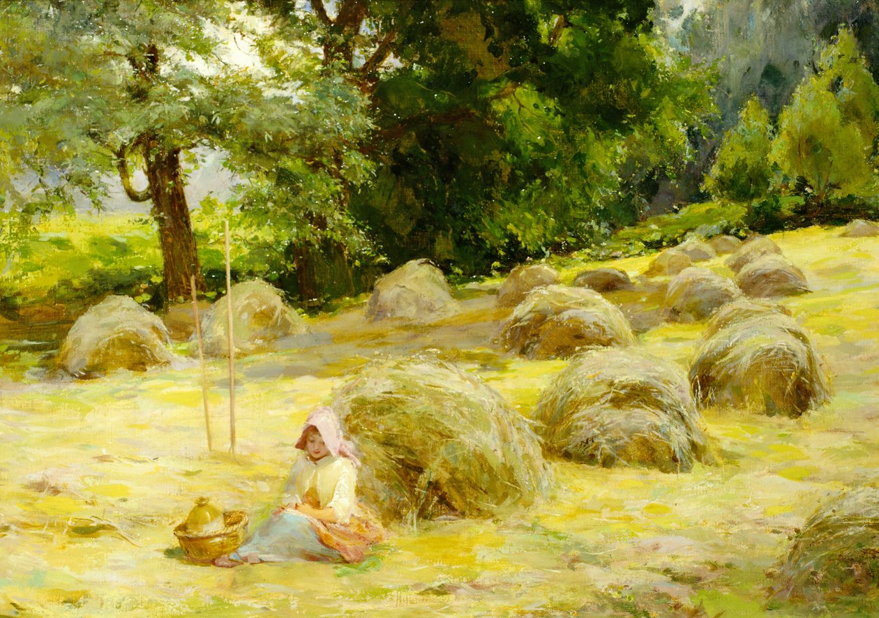 Haytime tekijältä Rosa Appleton