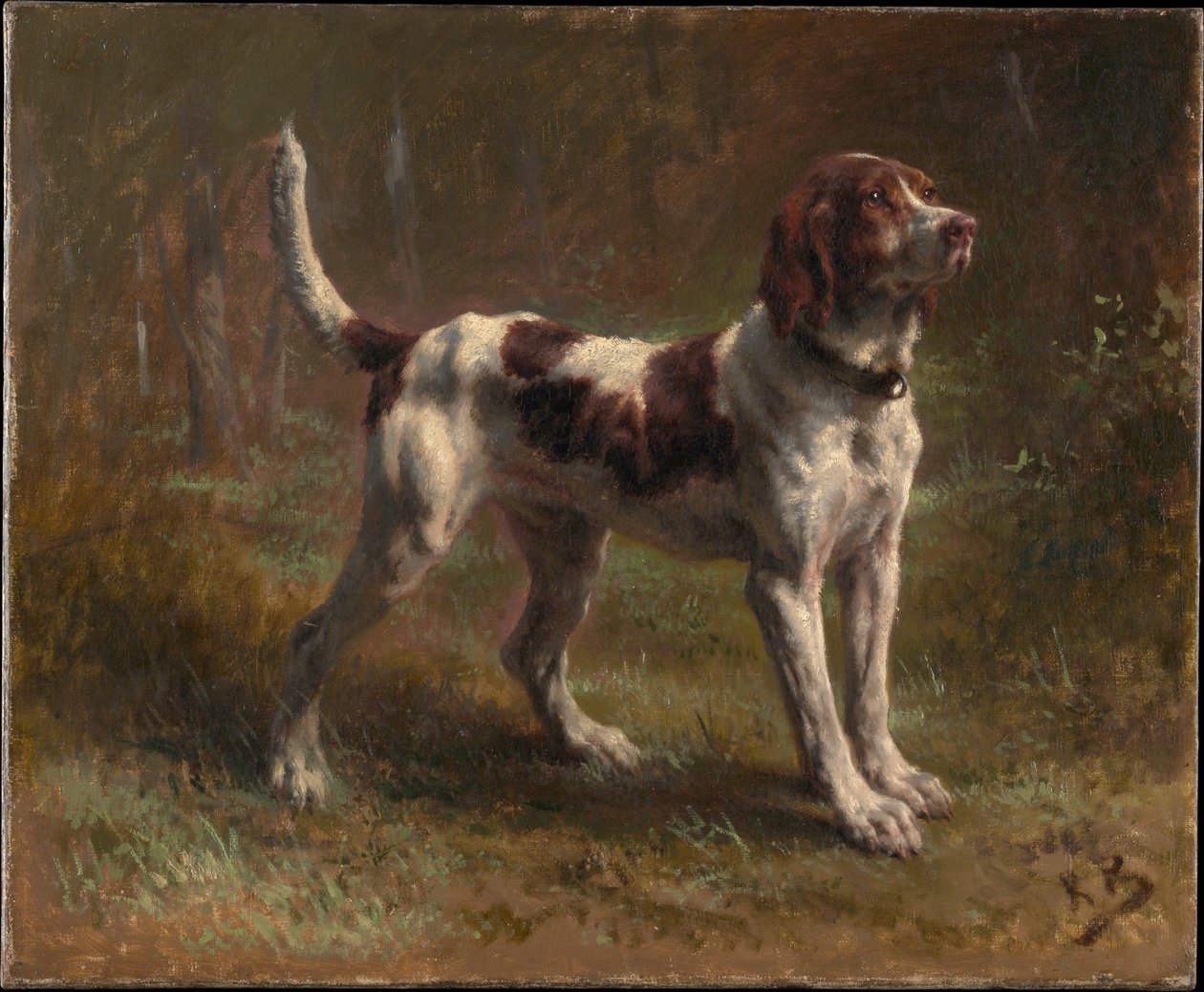 Limier -brikettikoira tekijältä Rosa Bonheur