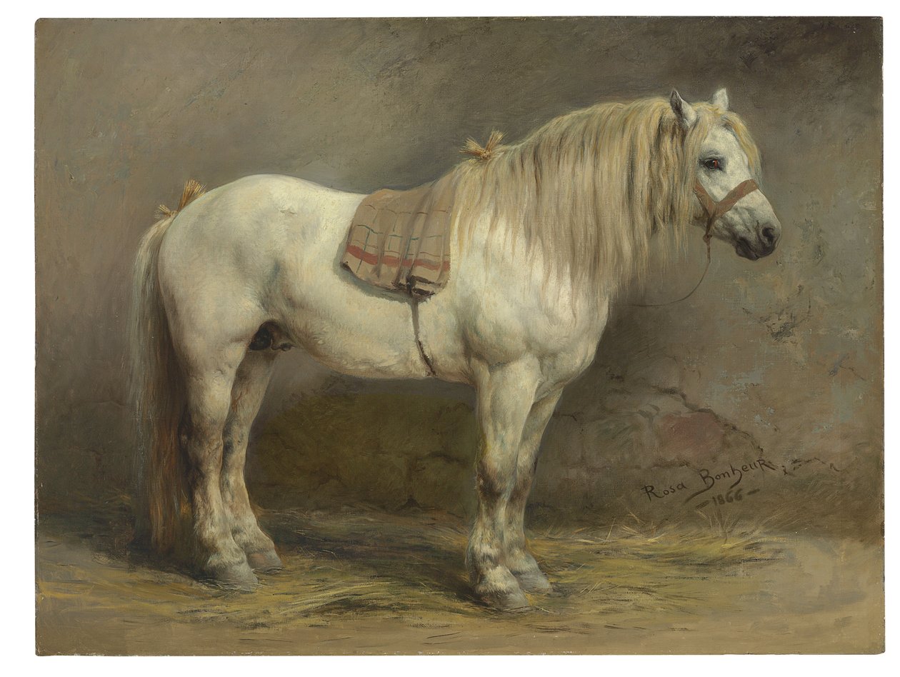 Valkoinen hevonen tekijältä Rosa Bonheur