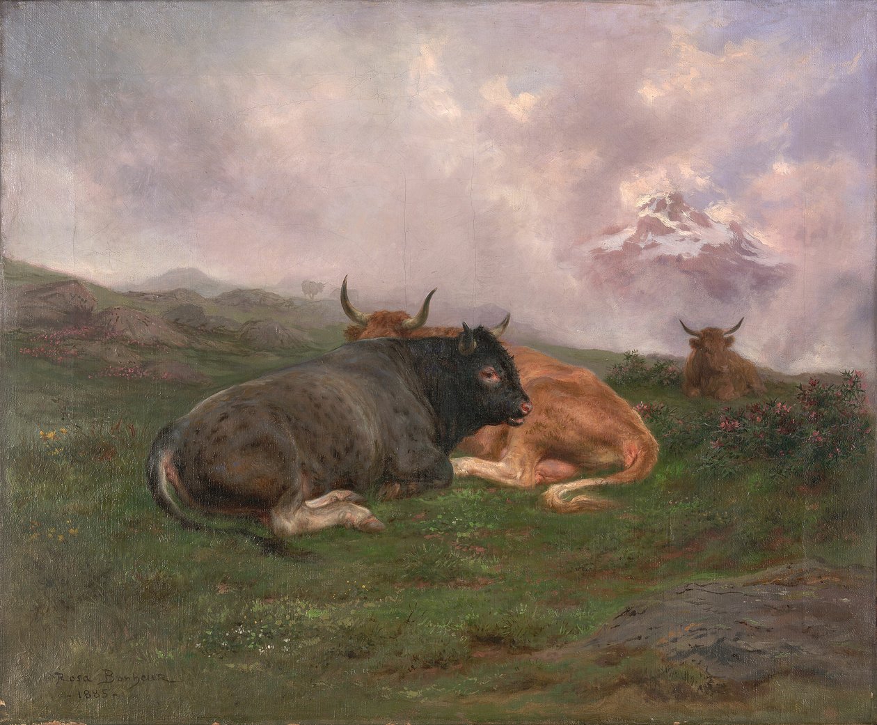 Karja lepää rinteellä Alpeilla tekijältä Rosa Bonheur