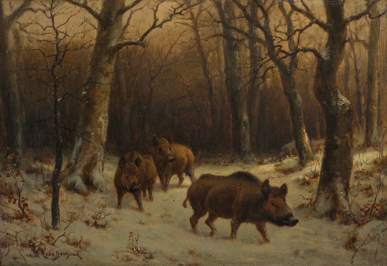 Ranskalainen:  Sangliers dans la neige Villisikoja lumessa. tekijältä Rosa Bonheur