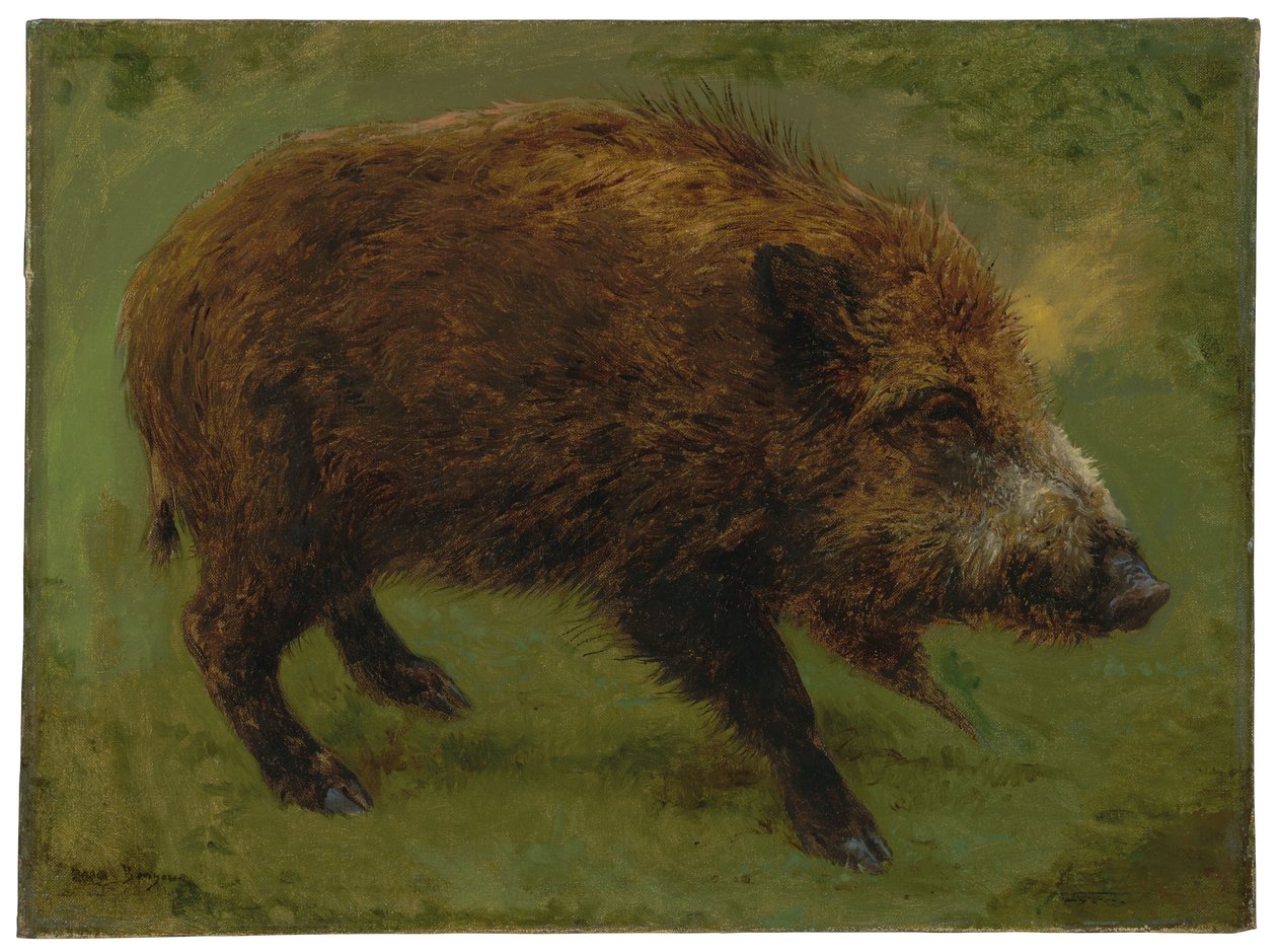 Villisika (öljy kankaalle) tekijältä Rosa Bonheur