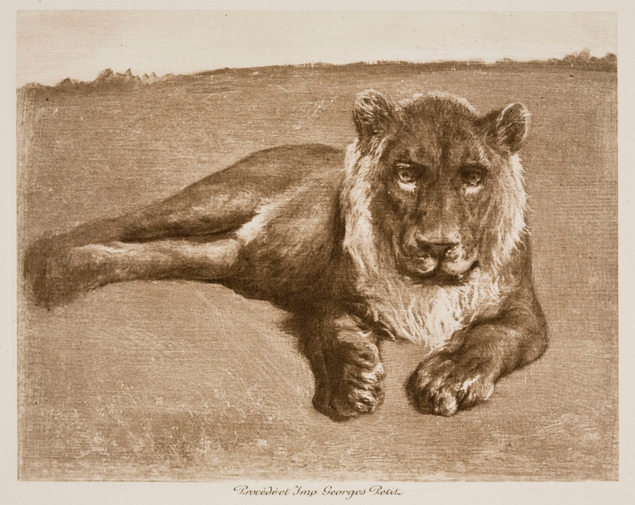 Leijona tekijältä Rosa Bonheur
