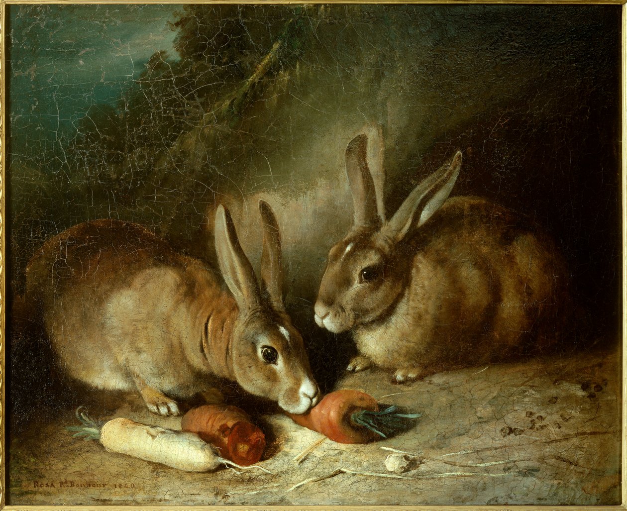 Kanit. Rosa Bonheurin (1822-1899) maalaus tekijältä Rosa Bonheur