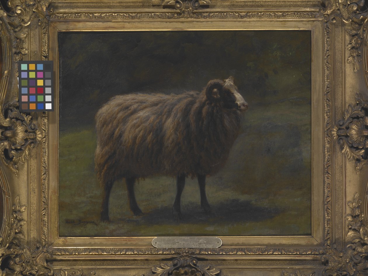 Ram (öljy kankaalle) tekijältä Rosa Bonheur
