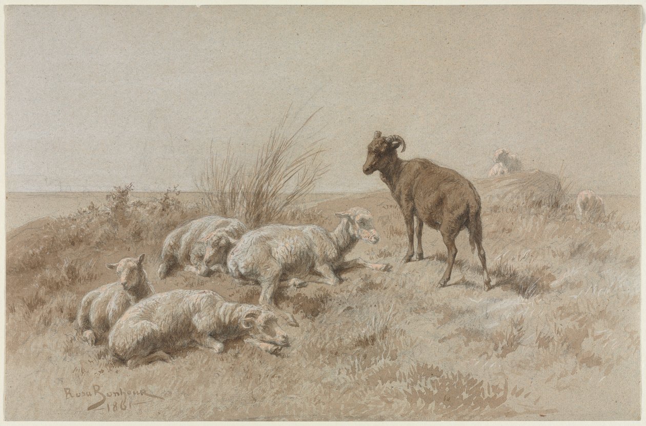 lampaat tekijältä Rosa Bonheur