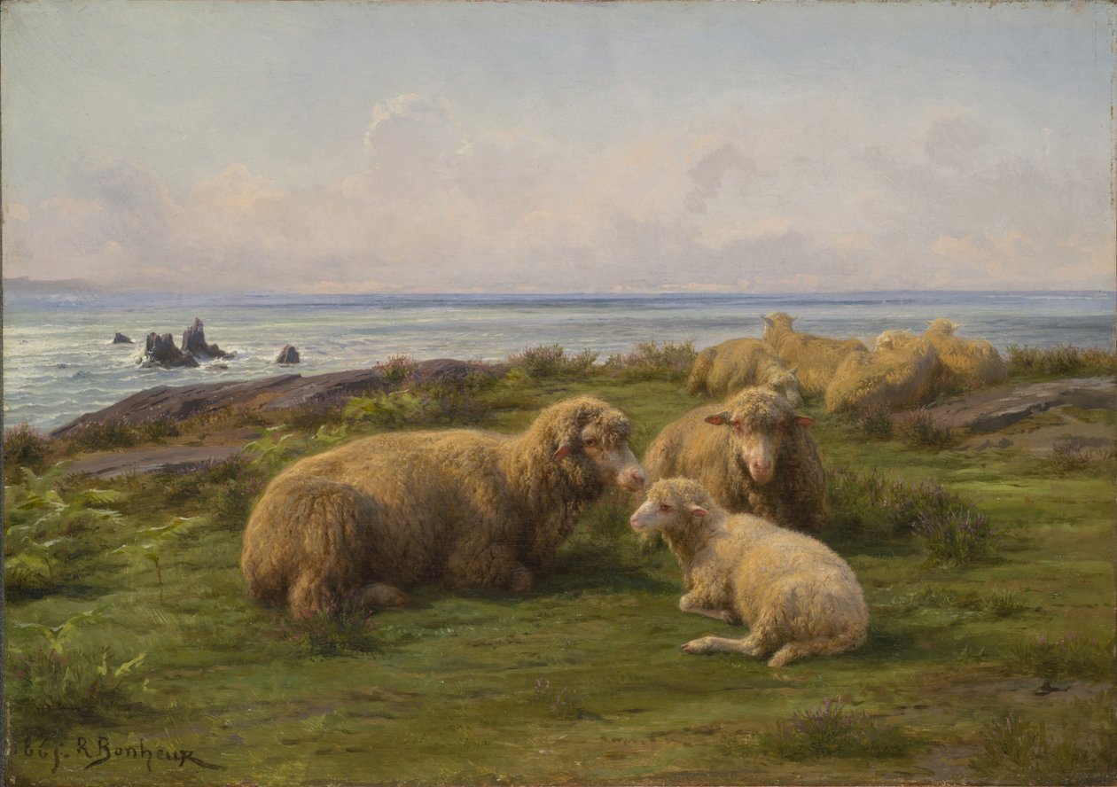 Lampaat meren rannalla tekijältä Rosa Bonheur