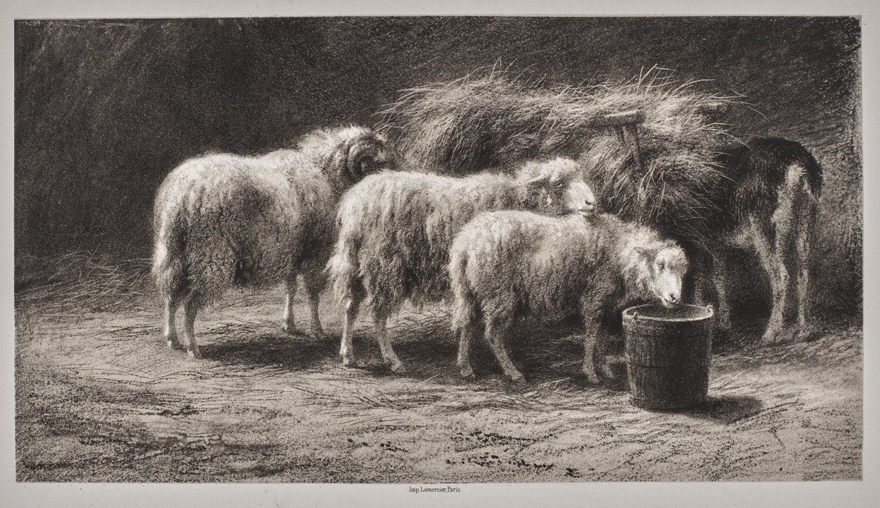 Lammastarha tekijältä Rosa Bonheur
