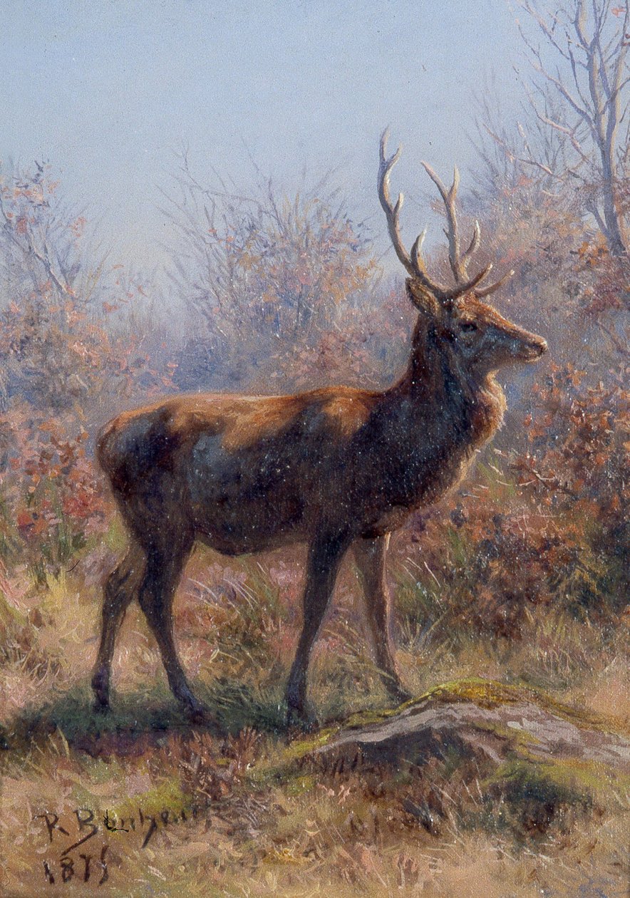 Hirvi tekijältä Rosa Bonheur