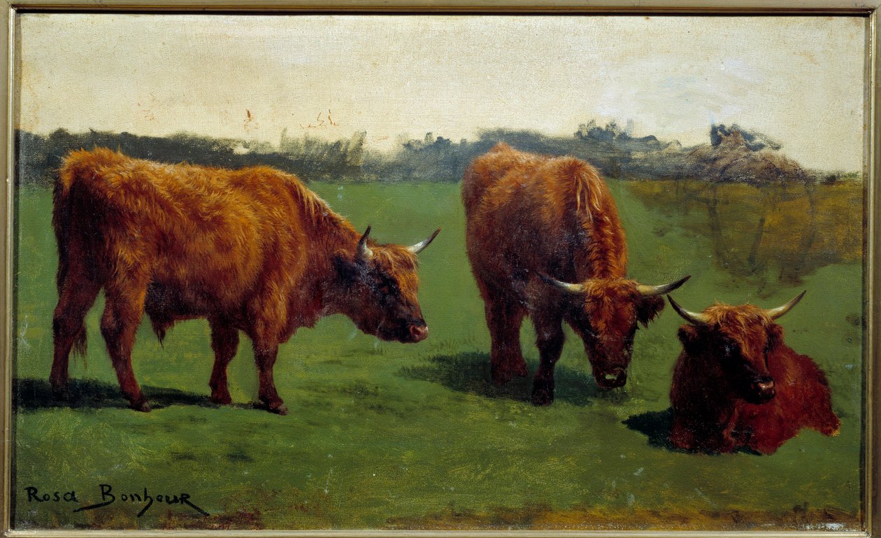 Kolme tutkimusta punaisesta naudanlihasta pre. Rosa Bonheurin (1822-1899) maalaus tekijältä Rosa Bonheur