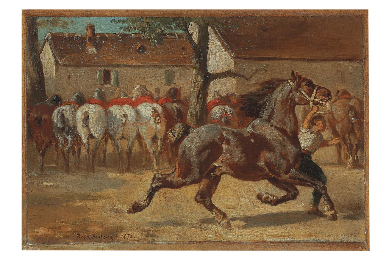 Hevosen ravi tekijältä Rosa Bonheur
