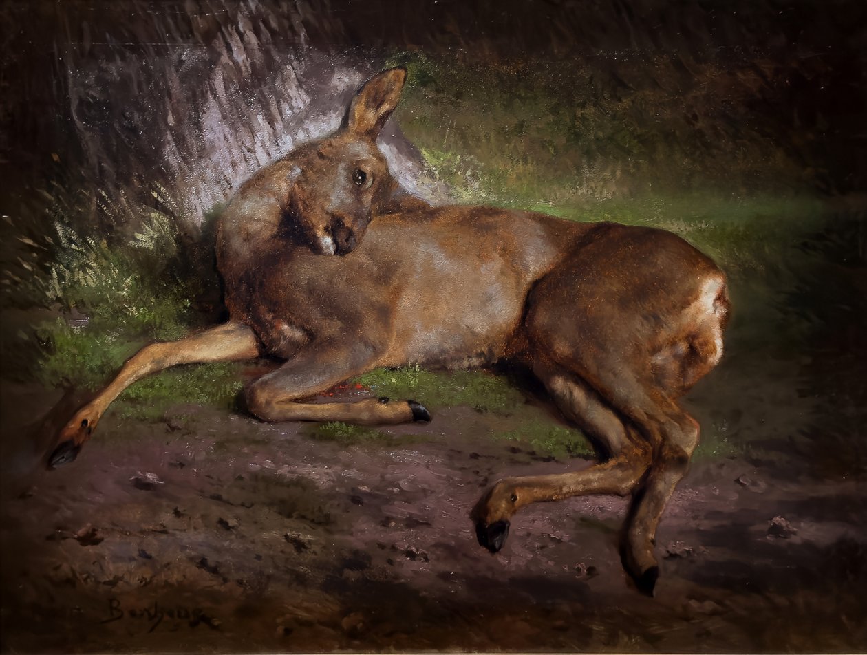 Tuntematon kuva tekijältä Rosa Bonheur