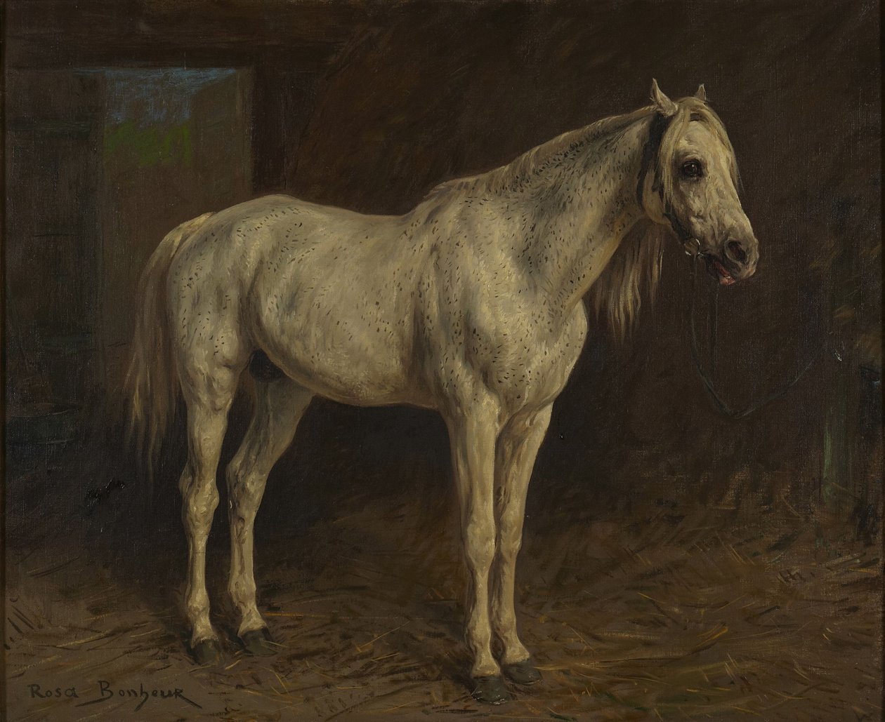 Valkoinen hevonen tekijältä Rosa Bonheur