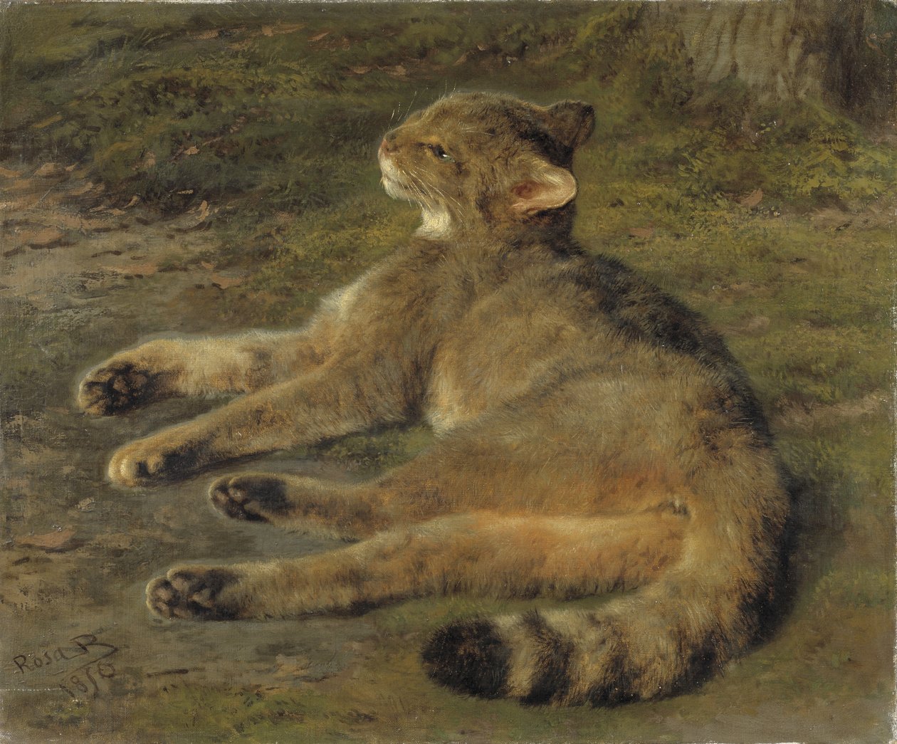 Villikissa, 1850 tekijältä Rosa Bonheur