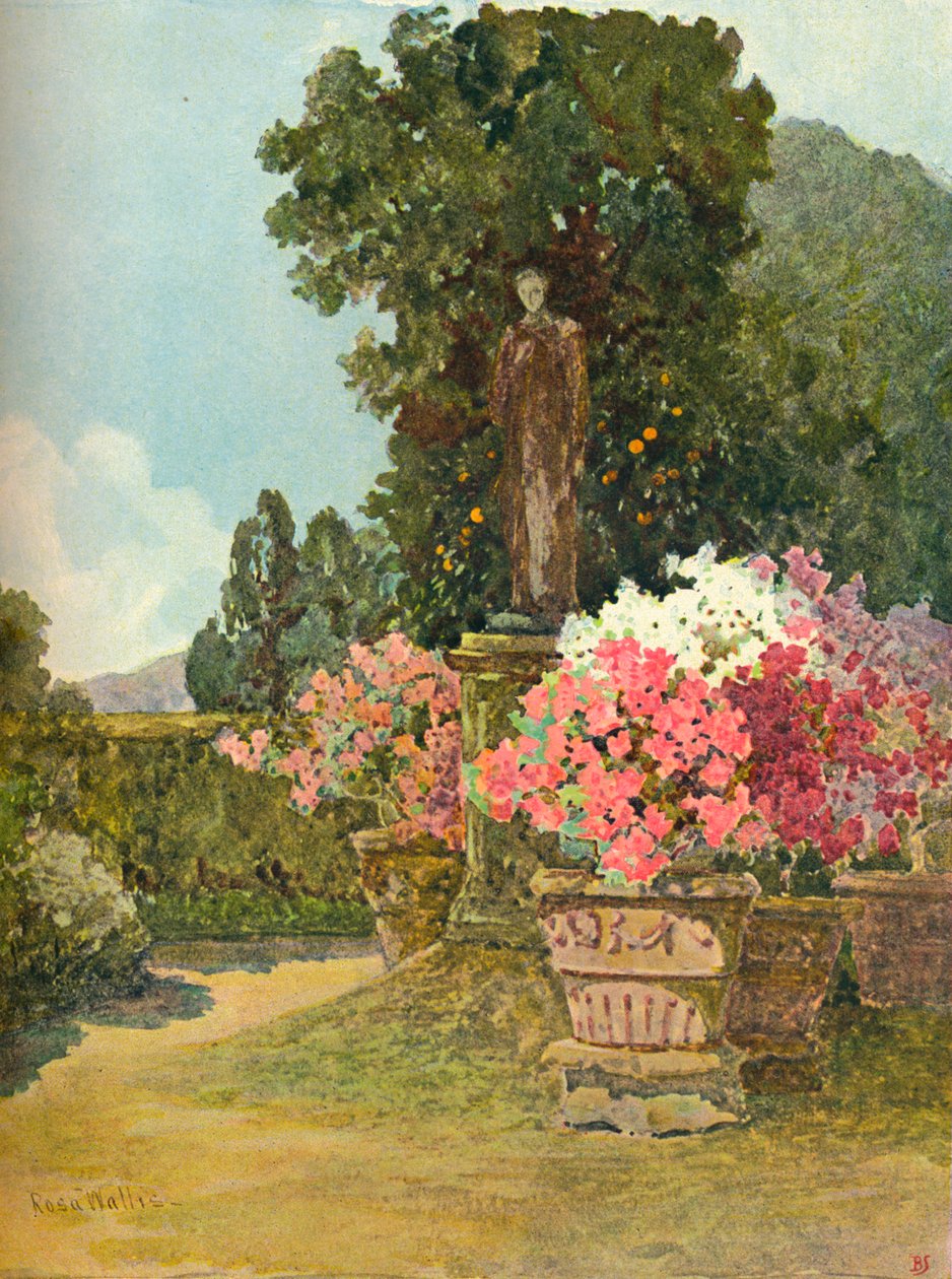 "In The Colonna Gardens", 1900 1902 tekijältä Rosa Wallis