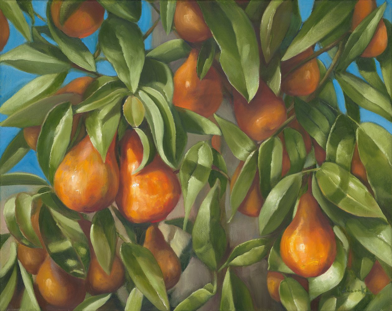 Päärynät 1, 2014 (öljy kankaalle) tekijältä Rosemarie Adcock