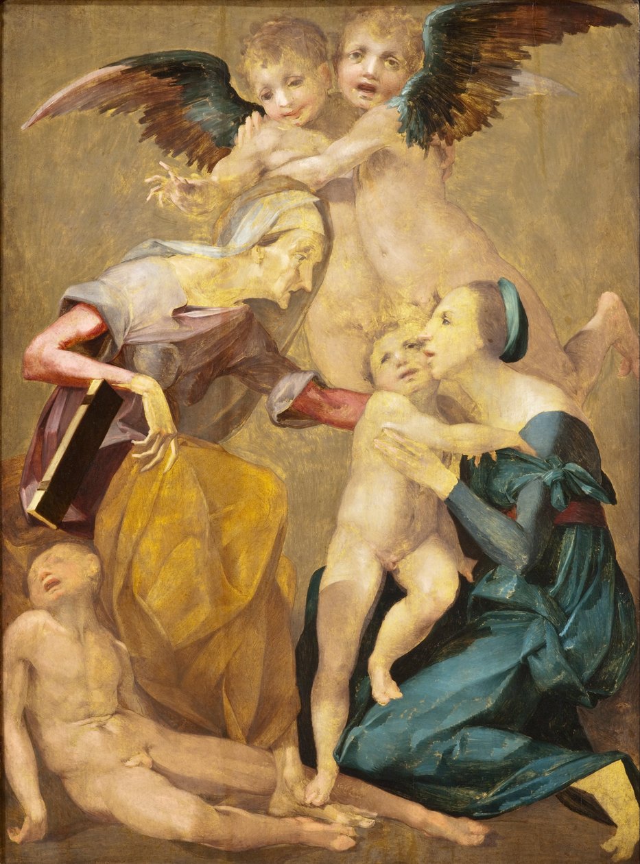 Pelastuksen allegoria, jossa on Neitsyt ja Kristuslapsi, Pyhä Elisabet, nuori Johannes Kastaja,... tekijältä Rosso Fiorentino
