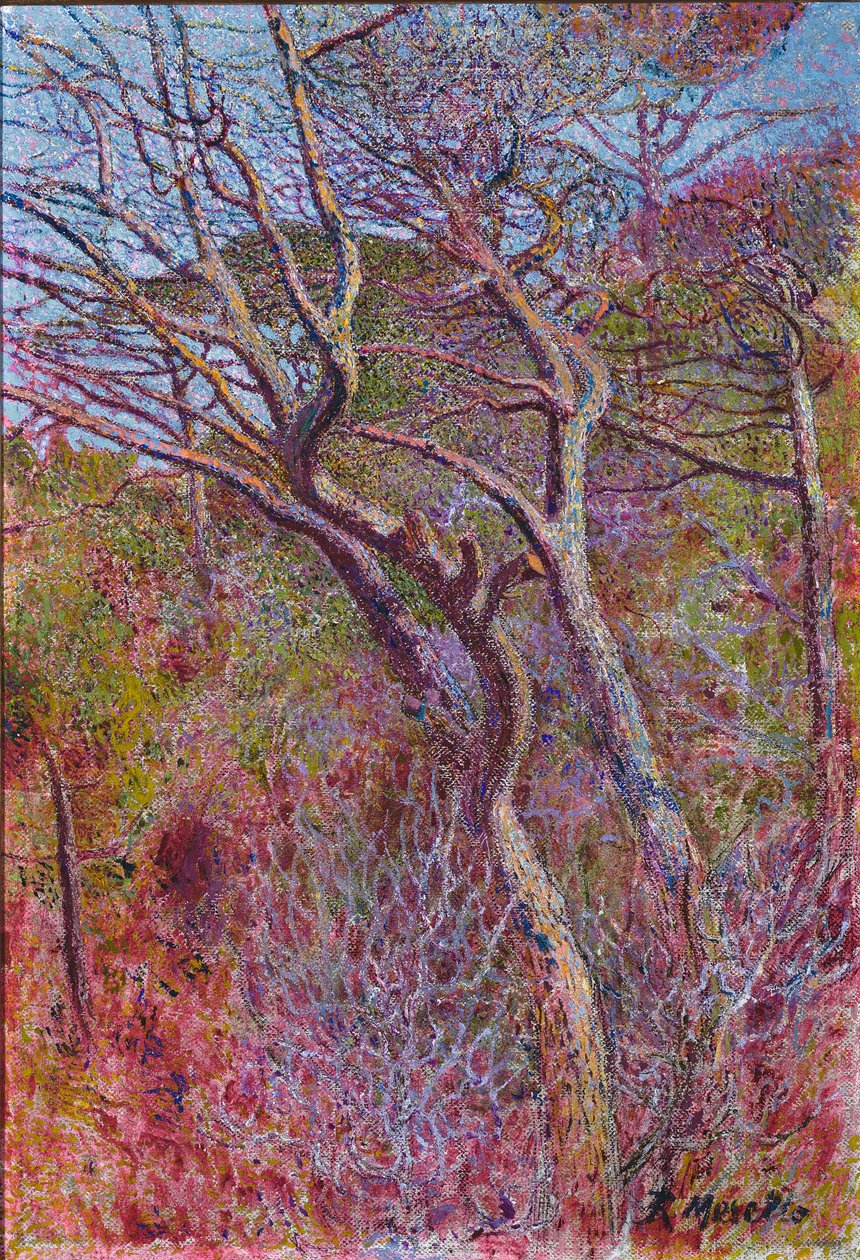 Maisema, studio, n. 1907 tekijältä Rubaldo Merello