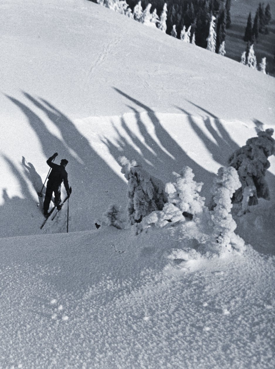 Hiihtäjä, 1928 (syanotyyppi) tekijältä Rudolph Koppitz