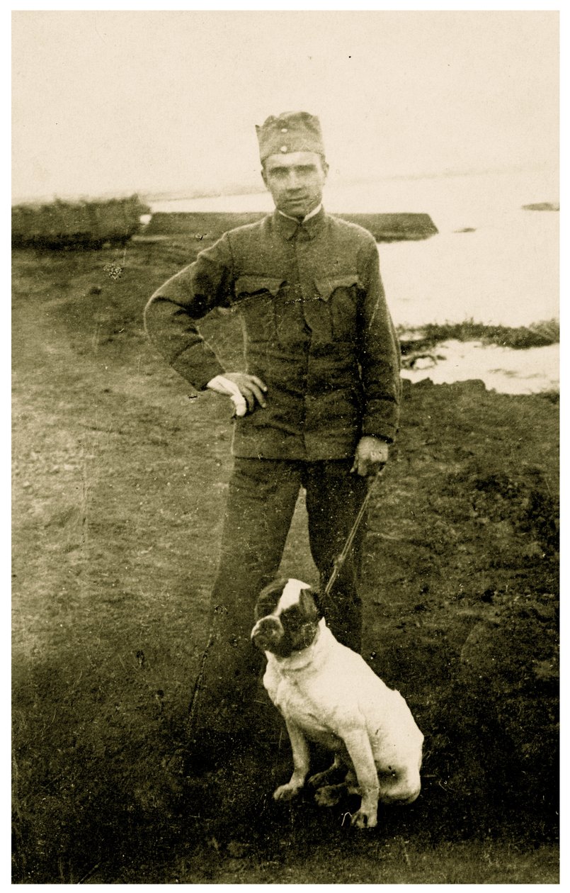 Venäläinen sotilas koiran kanssa, 1914-18 tekijältä Russian Photographer