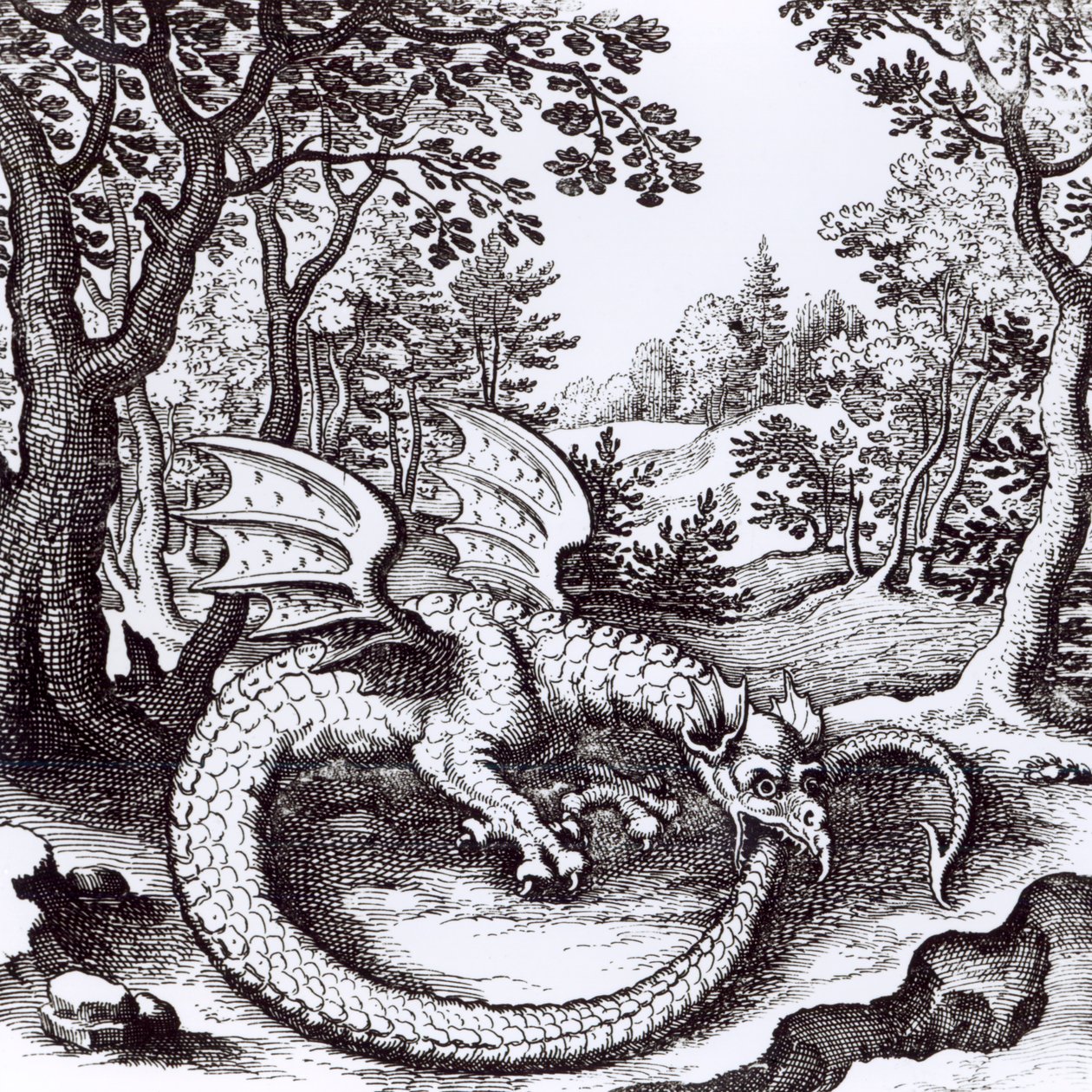 Lohikäärme metsässä, Basil Valentinen teoksesta Musaeum Hermeticum Reformatum, 1678 tekijältä Russian School