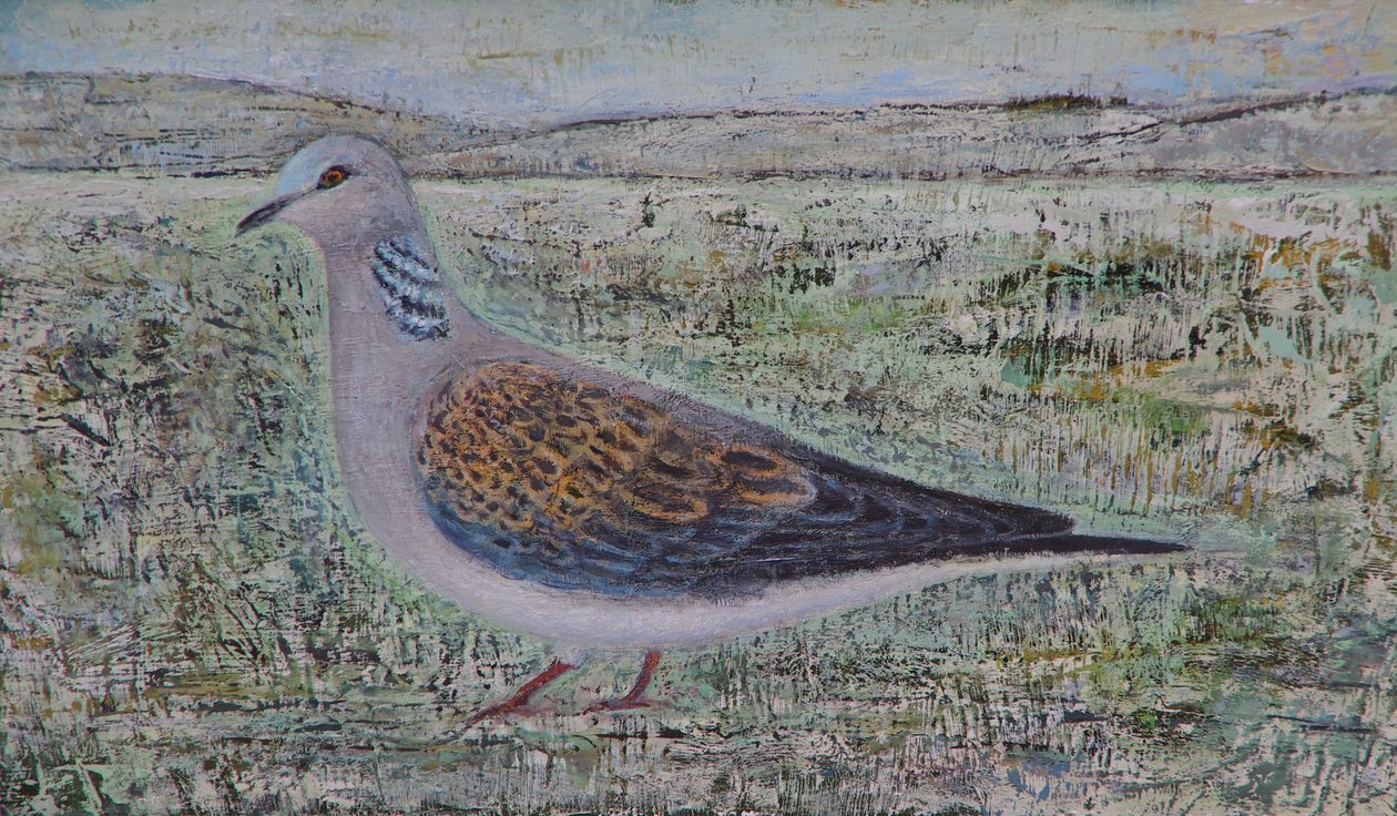 Turtle Dove tekijältä Ruth Addinall
