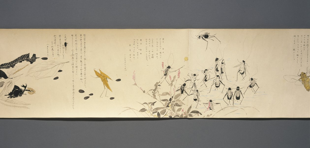 Wildlife Friends (Yasei no Tomo), Taisho-kausi, Taisho 7th Year, n. 1918 (muste & wc kiillellä koristellulle kudospaperille) tekijältä Ryoka Kawakami