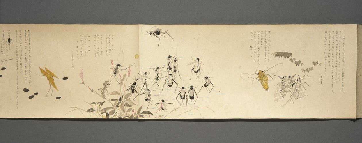Villieläinten ystävät (Yasei no Tomo), Taisho-kausi, Taishon seitsemäs vuosi, n.1918 (muste ja wc kiilteellä koristellulle paperimassalle). tekijältä Ryoka Kawakami