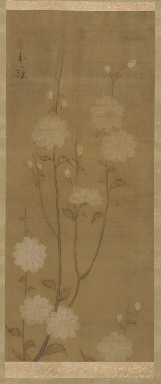 Roikkuvat kirsikanoksat kukkivat, Edo-kausi, 1700-luvun puoliväli - 1800-luvun alku. tekijältä Sakai Hoitsu