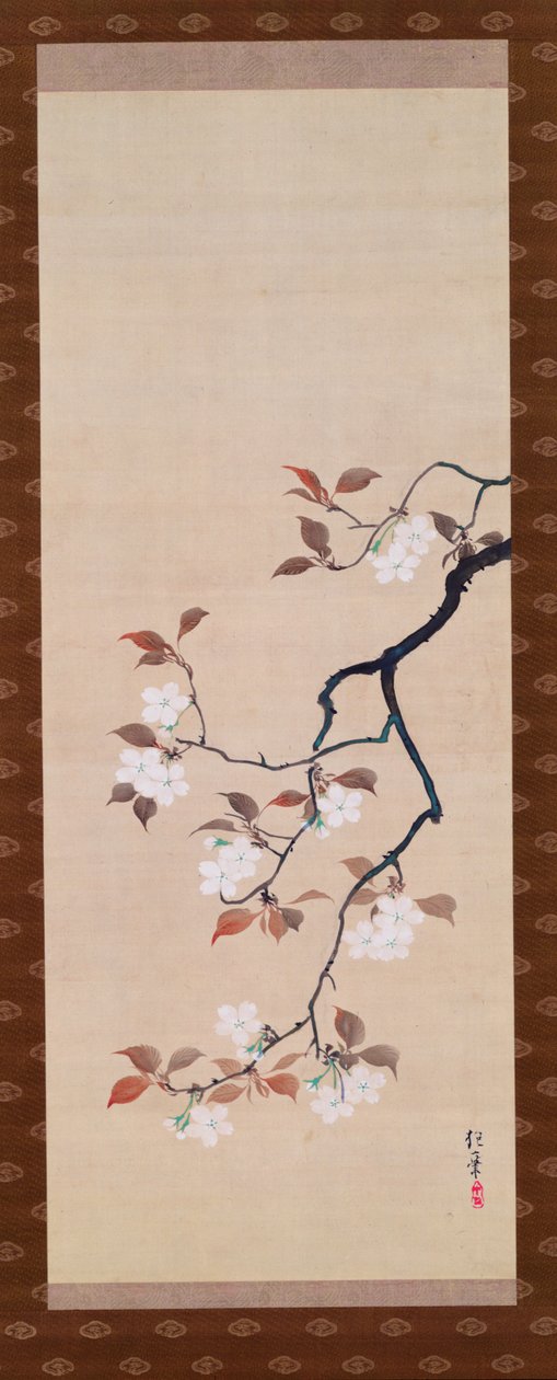 Riippuva kirjakäärö, joka kuvaa kirsikankukkia, kolmesta vuodenajasta, japanilainen, 1800-luvun alku tekijältä Sakai Hoitsu