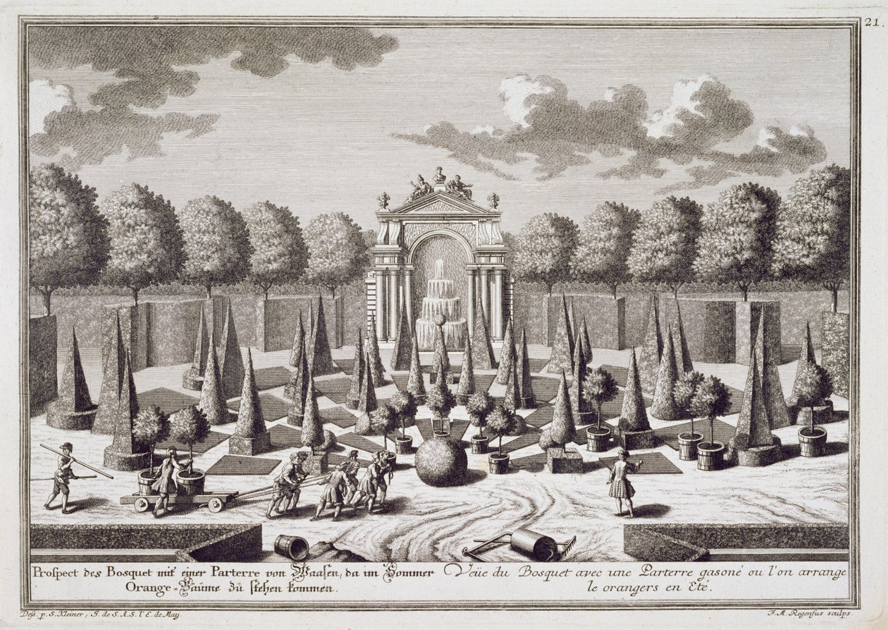 Parteri appelsiinipuilla Lichtensteinin palatsin puutarhassa Wienissä, kaiverrettu Franz Michael Regenfus (n.1712-80), julkaistu n.1724-37 tekijältä Salomon Kleiner