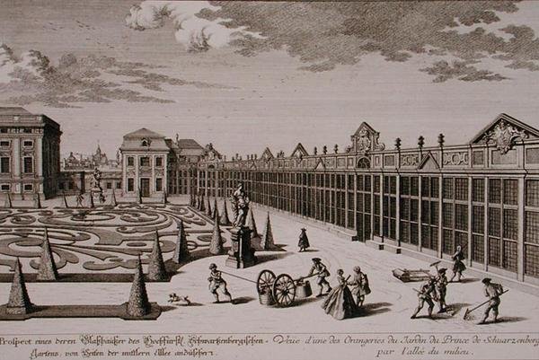 Näkymä yhdestä appelsiineista Schwarzenbergin prinssin puutarhassa Wienissä, kaiverrus Georg-Daniel Heumann (1691-1759), julkaistu noin 1724-37 (kaiverrus) (katso myös 170855) tekijältä Salomon (after) Kleiner