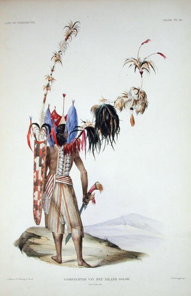 Solorin saaren soturi, teoksesta "Verhandelingen over de Natuurlijke Geschiedenis der Nederlandsche overzeesche Bezittingen", osa I, kirjoittanut Coenraad Jacob Temminck, kaiverrettu J.M. Kierdorff, julkaistu 1839-44 (värilitro). tekijältä Salomon and Bruining T.C. (after) Muller