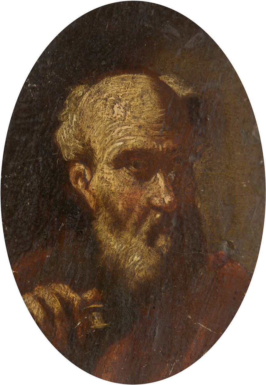 Vanhan miehen pää tekijältä Salvator Rosa