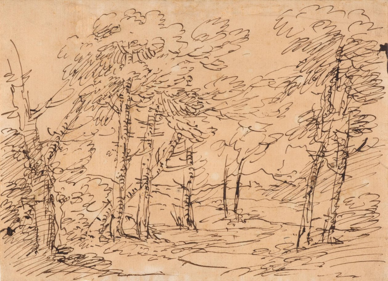 Maisema, taustalla puita ja vuoria tekijältä Salvator Rosa