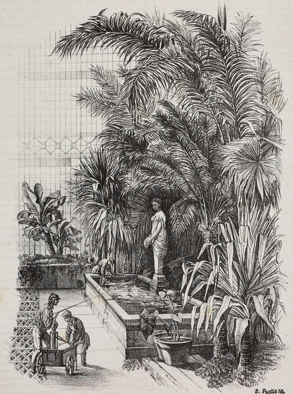 Laocoonte e seus filhos, estátua romana, litografia de Salvatore Puglia de Poliorama Pittoresco, n 1, 13 de agosto finlandês tekijältä Salvatore Puglia
