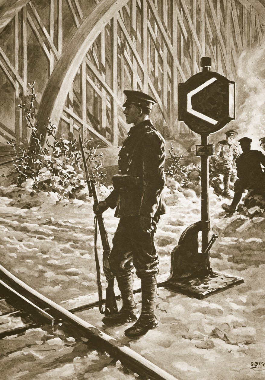 Itävallassa aselevon jälkeen, 1914-1919 tekijältä Samuel Begg