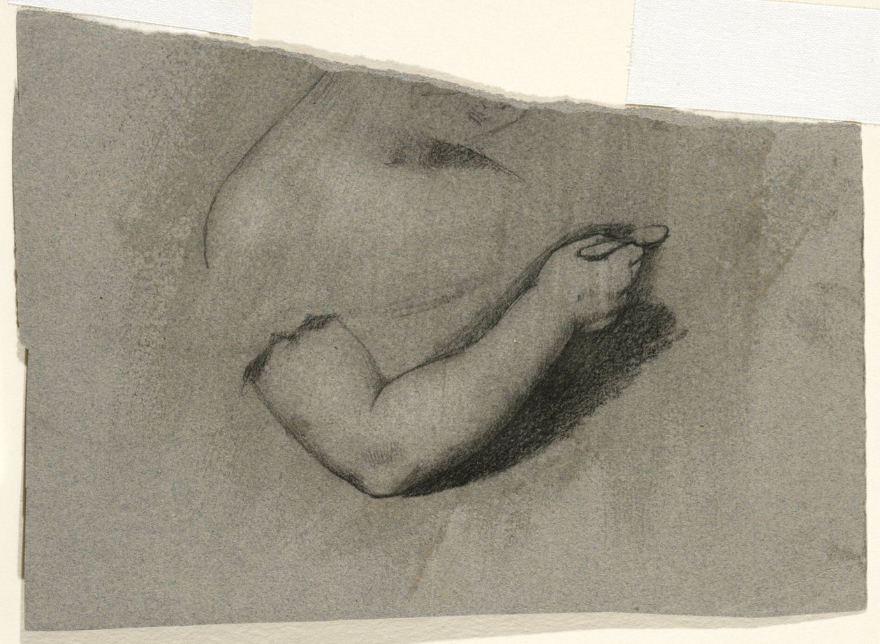 Tutkimus Mary Honen muotokuvaa varten, 1824 (hiili ja valkoinen liitu harmaanruskealle kudottupaperille) tekijältä Samuel Finley Breese Morse