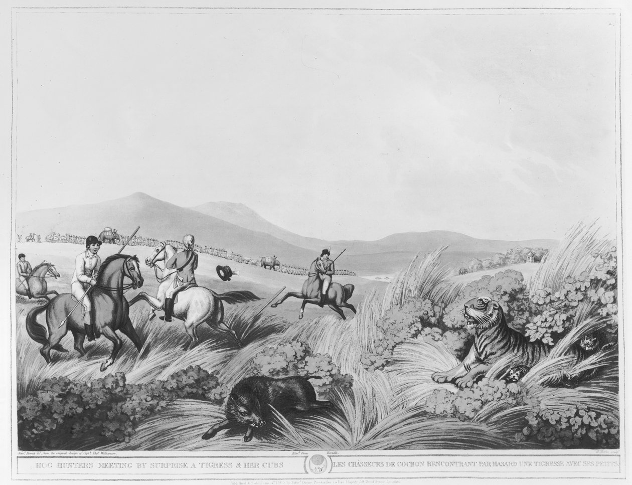 Hog Hunters Meeting, Yllätys, tiikeri ja hänen poikansa, kaiverrus H.Merke (fl.1800-20) kapteeni Thomas Williamsonin alkuperäisen suunnittelun mukaan, pubi. kirjoittanut Edward Orme (1774-n. 1820) (bundw pho tekijältä Samuel Howett