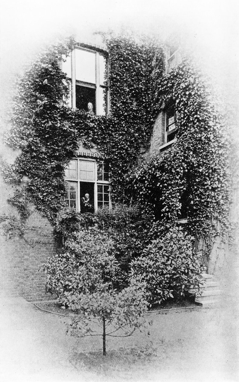 Summer at The Pines, Swinburnesin koti Putneyssa, n. 1900-09 (bw kuva) tekijältä Samuel James Poole