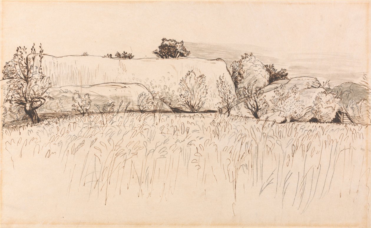 Cornfields ja Barn, Shoreham tekijältä Samuel Palmer